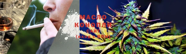 сатива Долгопрудный