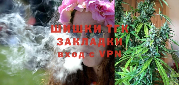бошки Бронницы