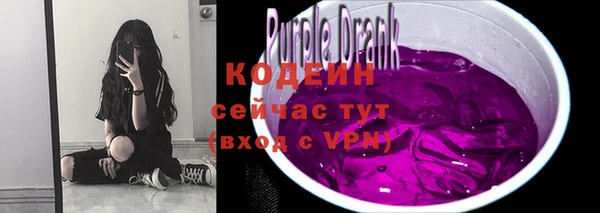 прущие крисы Бородино