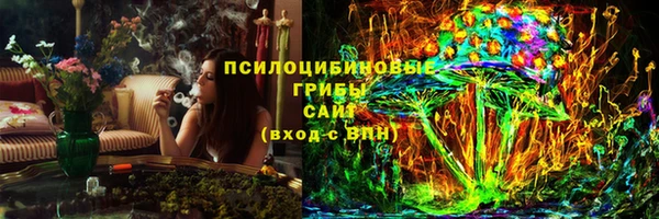 ГАЛЛЮЦИНОГЕННЫЕ ГРИБЫ Бугульма