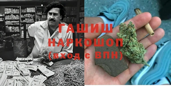бошки Бронницы