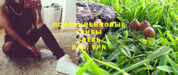 бошки Бронницы