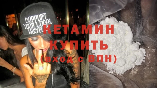 сатива Долгопрудный
